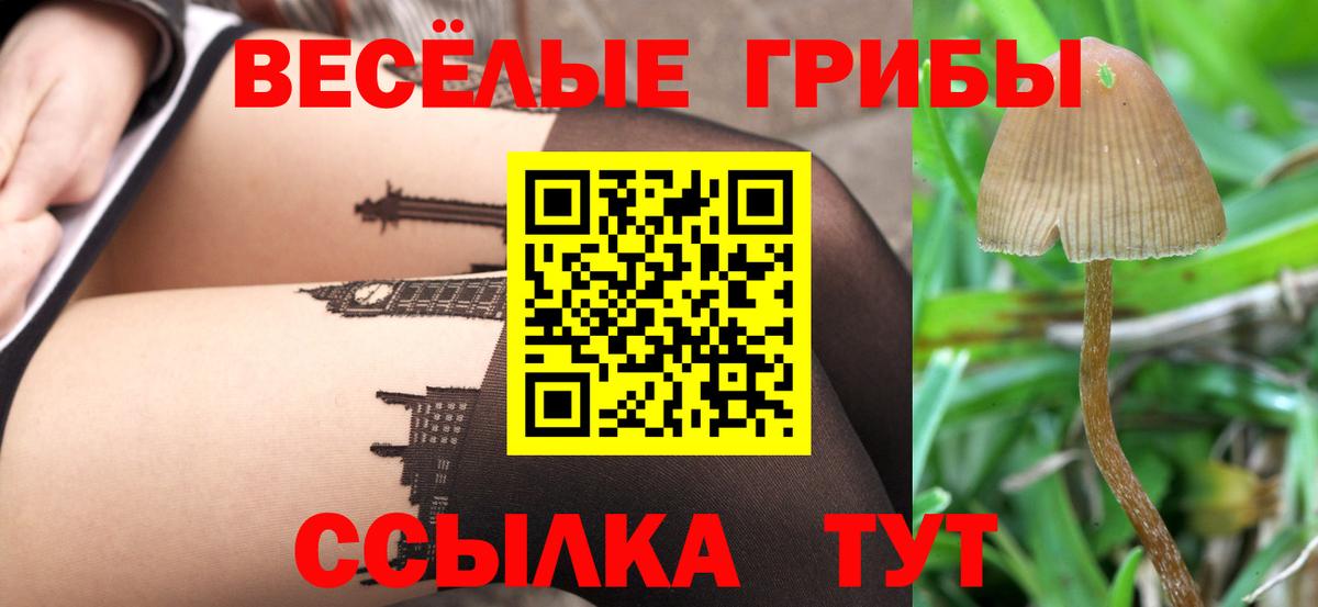 Гурьевск  закладки  Вход с VPN  Псилоцибиновые грибы Psilocybine cubensis 